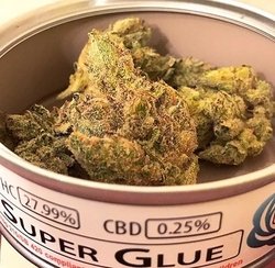 Super Glue - Wet Genetics