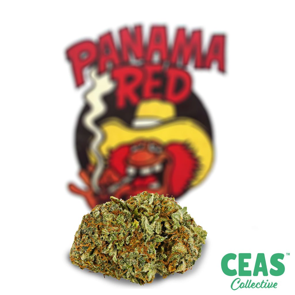 Panama Red