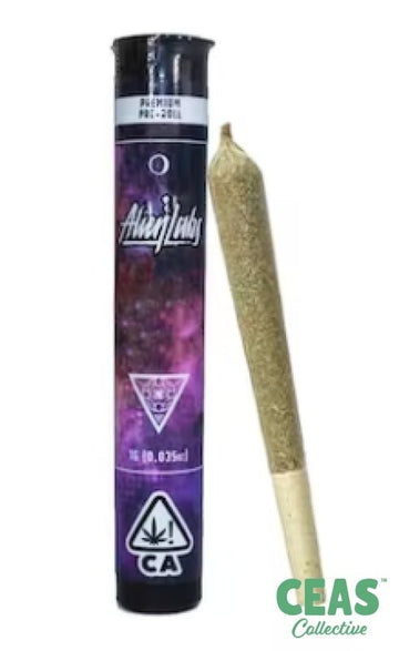 Y2K- 1G Preroll  - Alien Labs