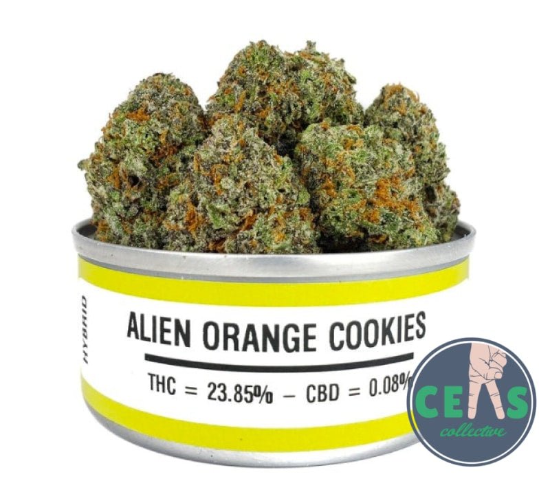 Alien Orange Cookies - Space Monkey Meds