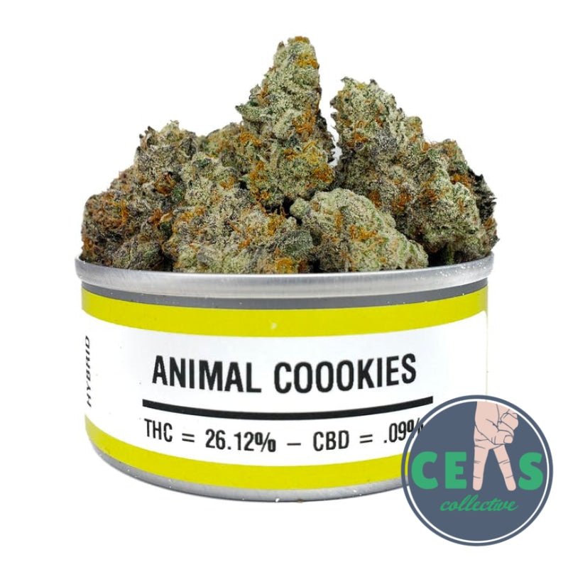 Animal Cookies - Space Monkey Meds
