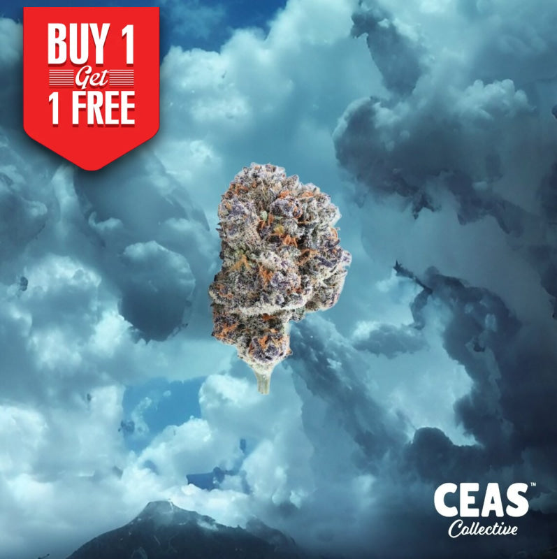 Azul Pave Smalls CEAS
