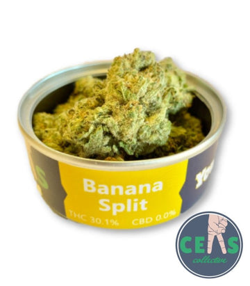 Banana Split - Ceas Exotics