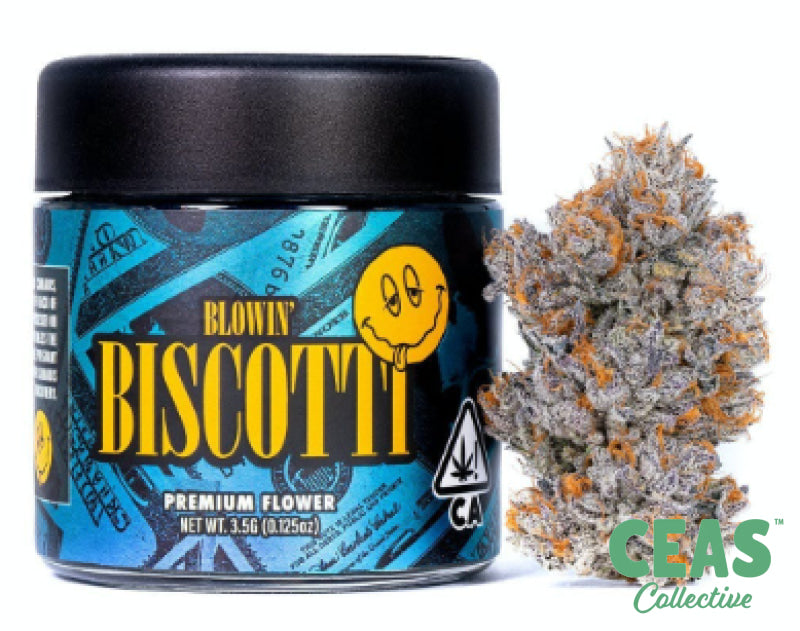 Biscotti 3.5g - Connected | CEAS