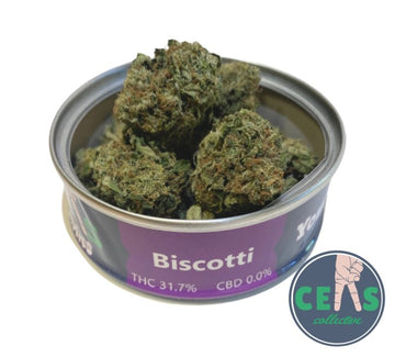 Biscotti - CEAS Exotics