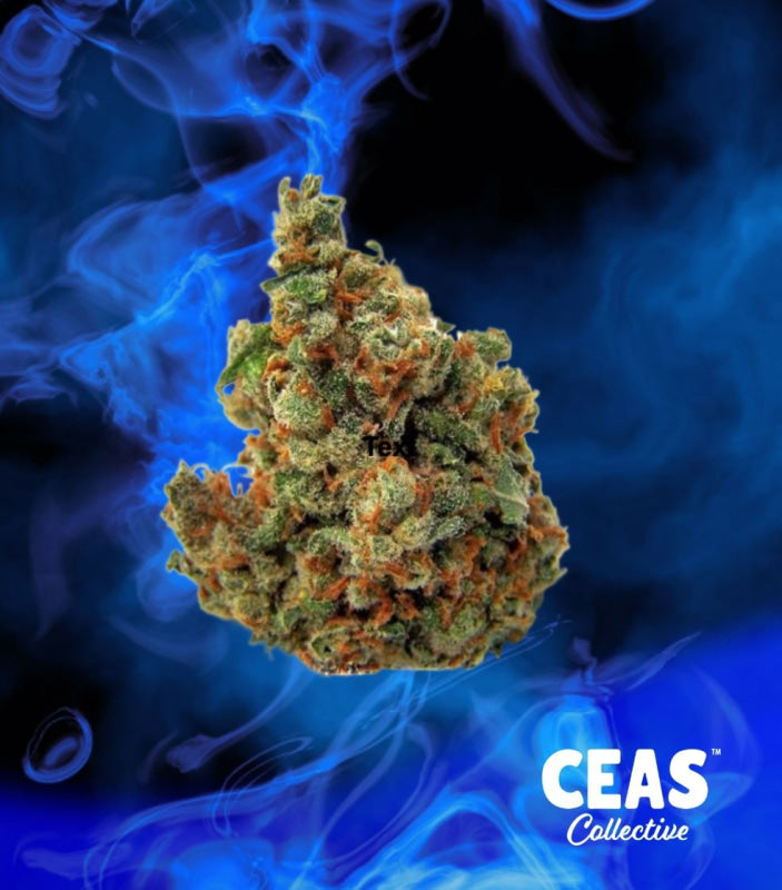 Blue Haze 7g - CEAS