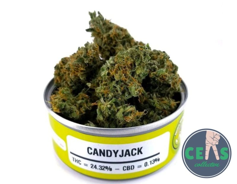 Candy Jack - Space Monkey Meds