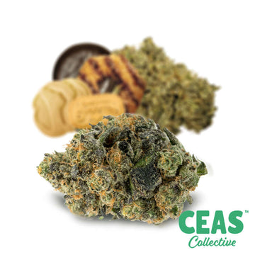 Durban Cookies - CEAS