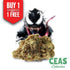 Durban Poison 7g - CEAS Exotics