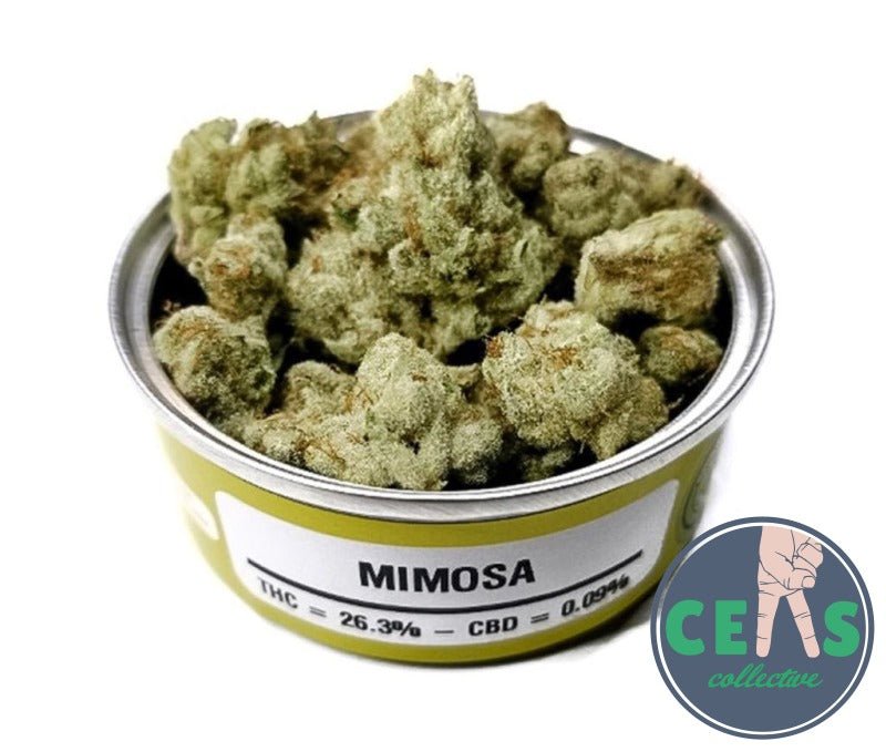 Mimosa - Space Monkey Meds
