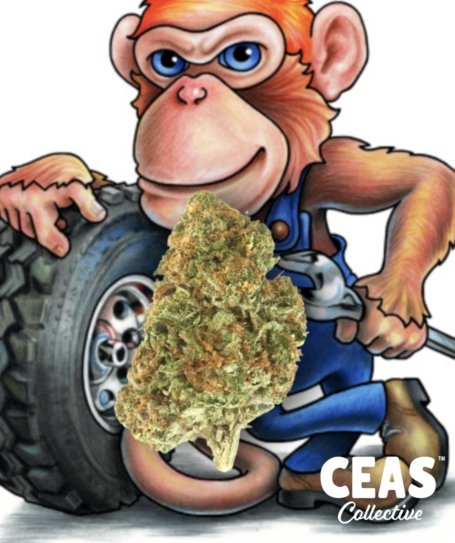 Grease Monkey 28g - CEAS | 50% Off Media 1 of 1
