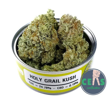 Holy Grail Kush - Space Monkey Meds