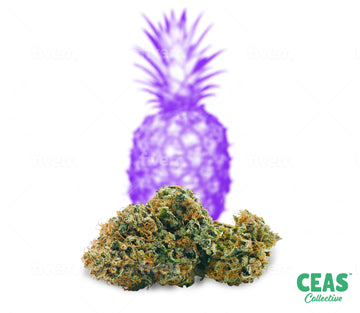 Purple Pineapple Express