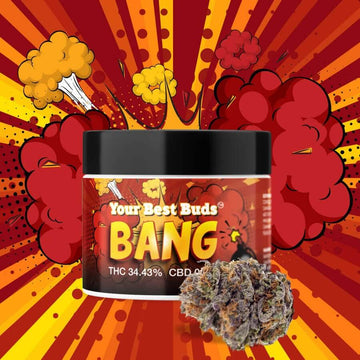 Bang - CEAS Exotics