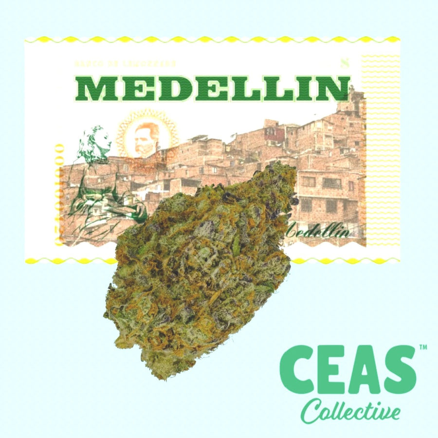 Medellín - CEAS