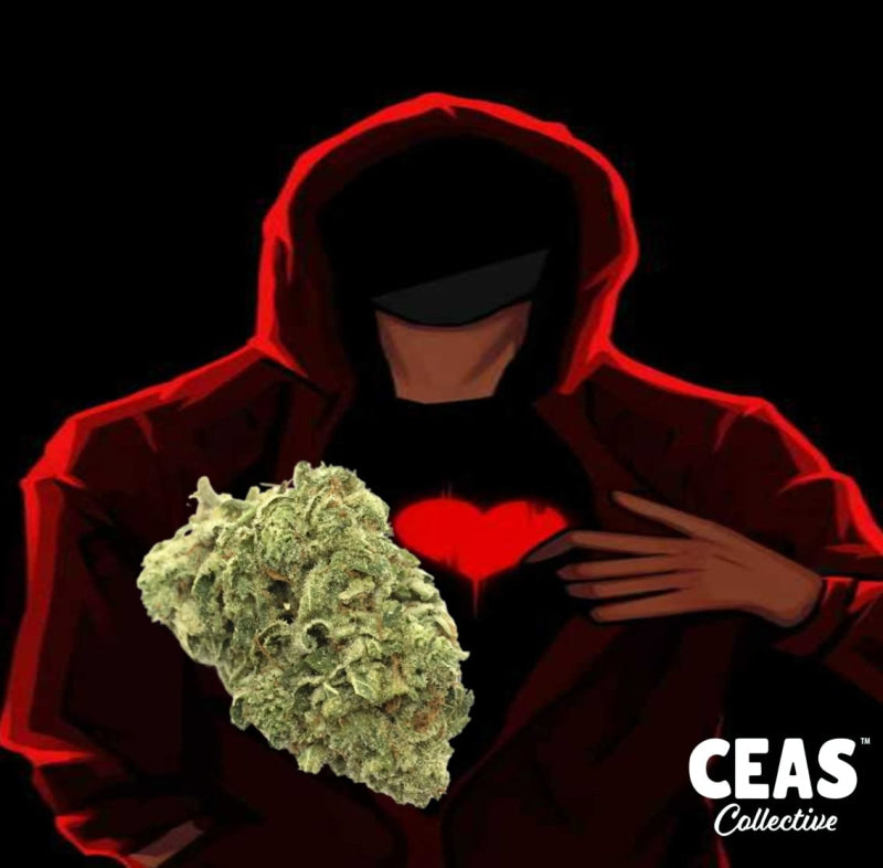 Jealousy 7g - CEAS