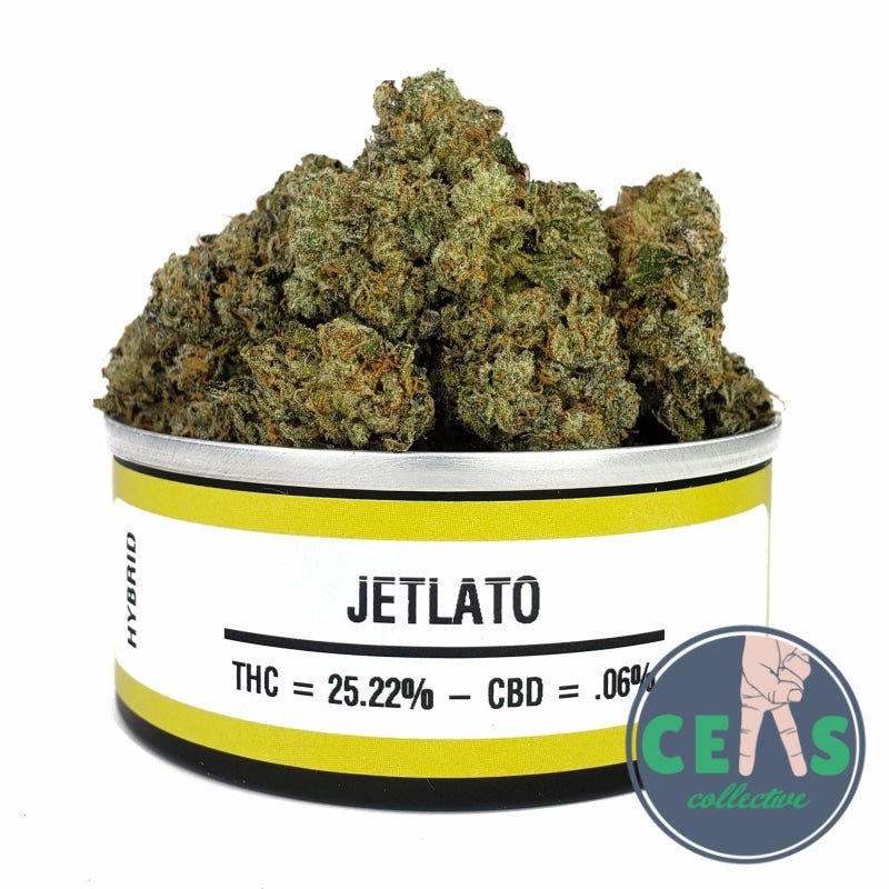 Jelato - Space Monkey Meds