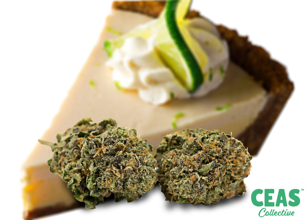 Key Lime Pie - CEAS