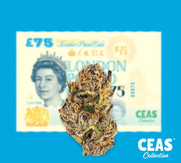 CEAS London Pound Cake - Delivery
