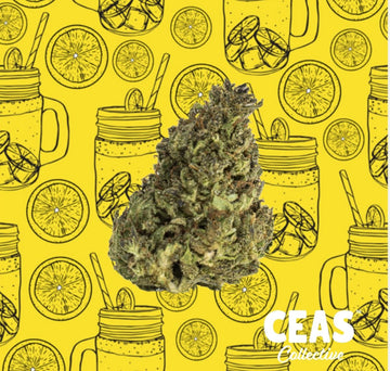 Melonade Sativa by CEAS Delivery 