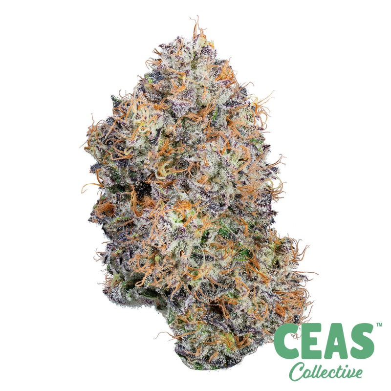 Planet Red 14G - Alien Labs