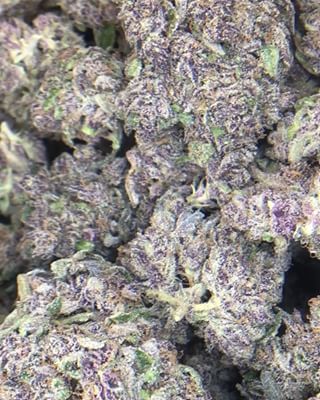 purple godfather CAN - space monkey meds