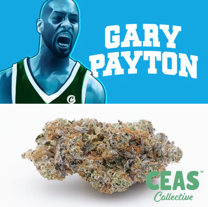 Gary Payton 7G - Ceas