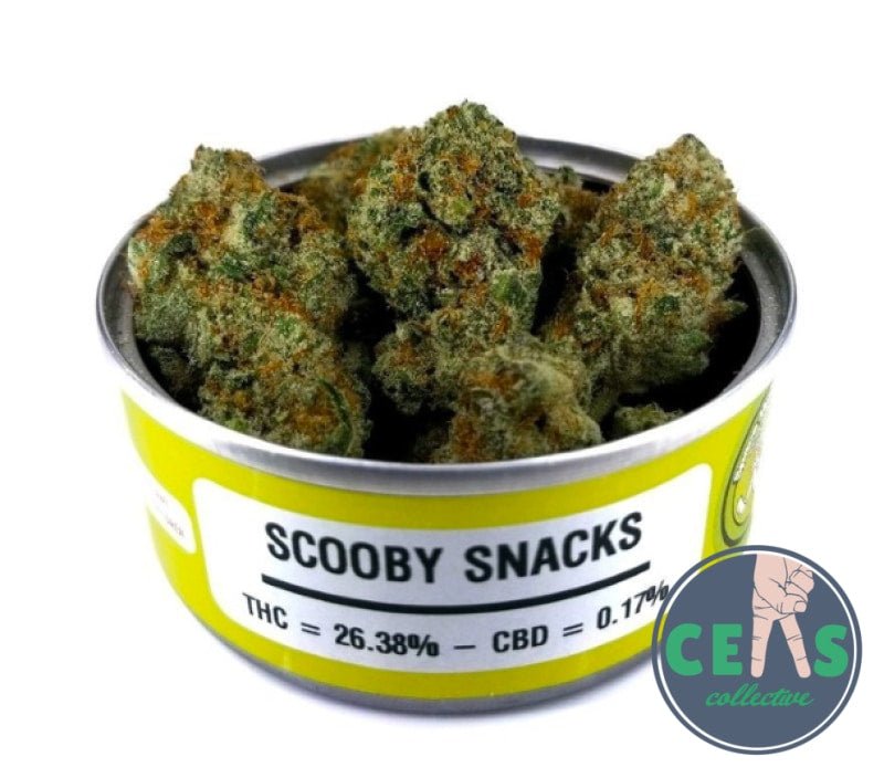 Scooby Snacks - Space Monkey Meds