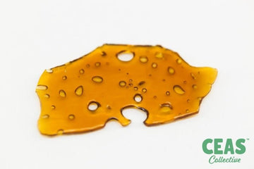 Juicy Fruit - Shatter