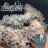 Sherbacio - Alien Labs