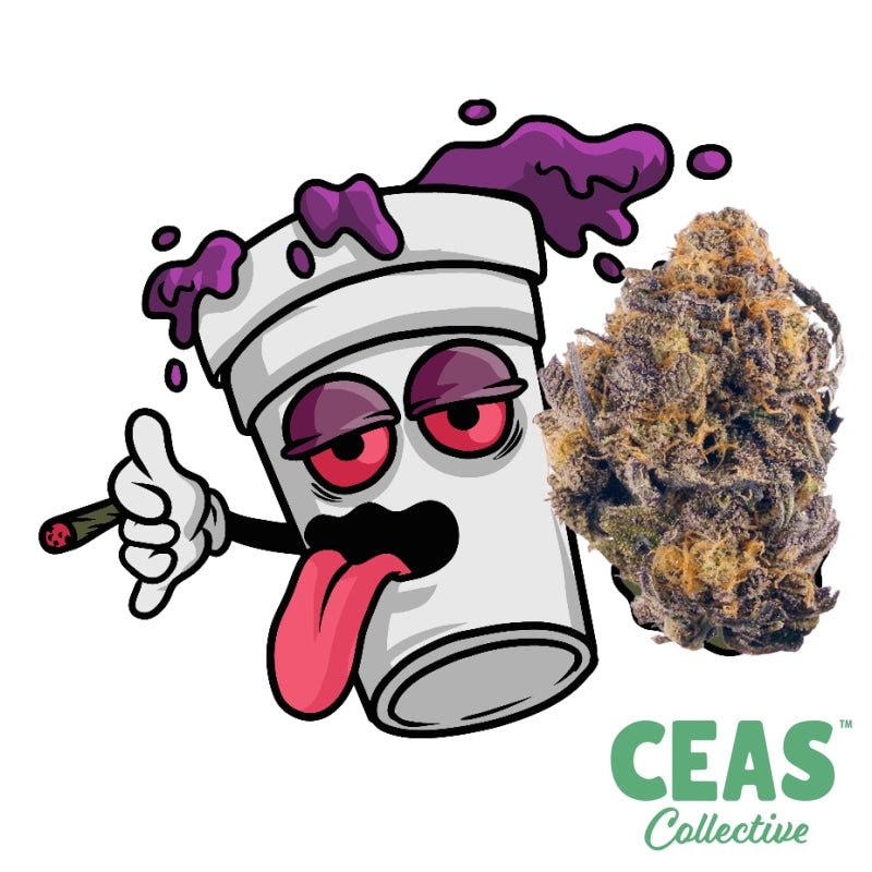 Sizzurp - 7G Ceas