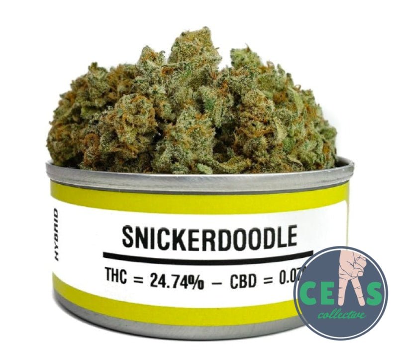 Snickerdoodle - Space Monkey Meds