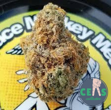 Gas Tanker - Space Monkey Meds