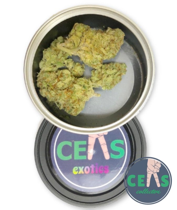 Strawberry Banana - Ceas Exotics