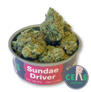 Sundae Driver - Ceas Exotics