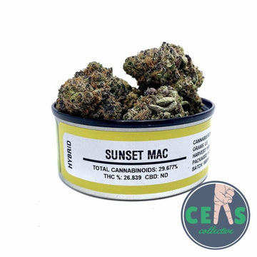 Sunset Mac - Space Monkey Meds