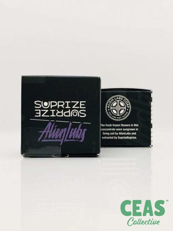 Suprize Suprize - Alien Labs