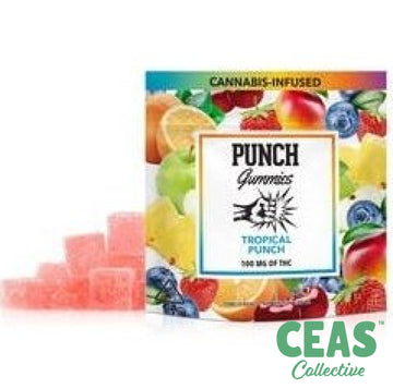 Punch Gummies - Tropical 100Mg
