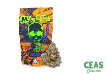 Krypto Chronic - Alien Labs - Misfits