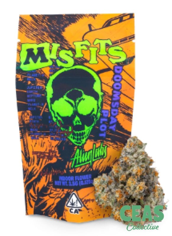 Baklava Indoor Misfits - Alien Labs