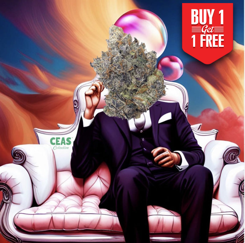 Bubble Gum Sherb 7g - CEAS