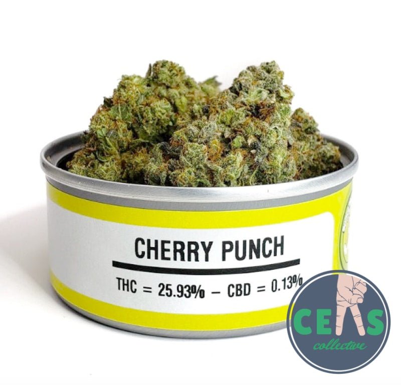 Cherry Punch - Space Monkey Meds