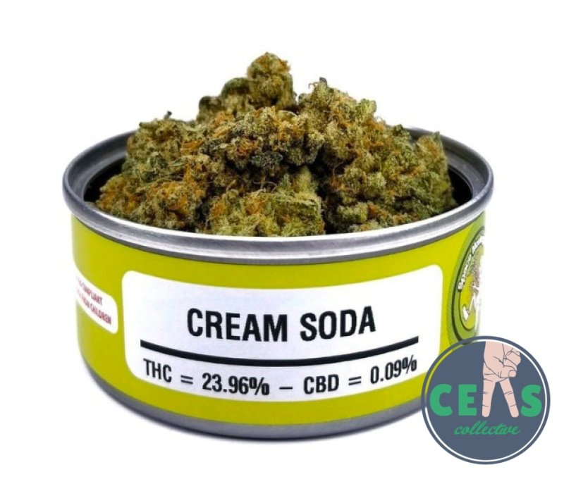 Cream Soda - Space Monkey Meds