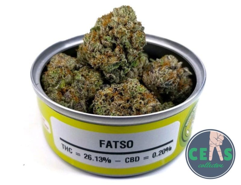 Fatso - Space Monkey Meds
