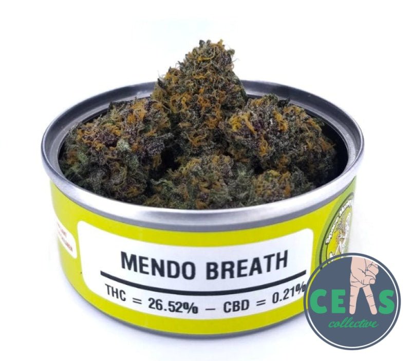Mendo Breath - Space Monkey Meds