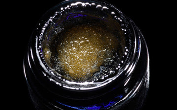 Royal Orange - Critical710 Live Resin Sauce