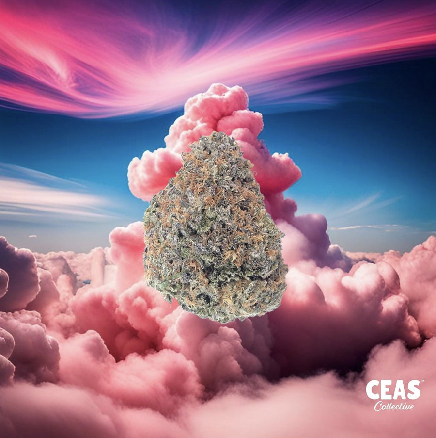 Cotton Candy 7g - CEAS