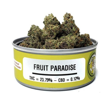 Fruit Paradise - Space Monkey Meds