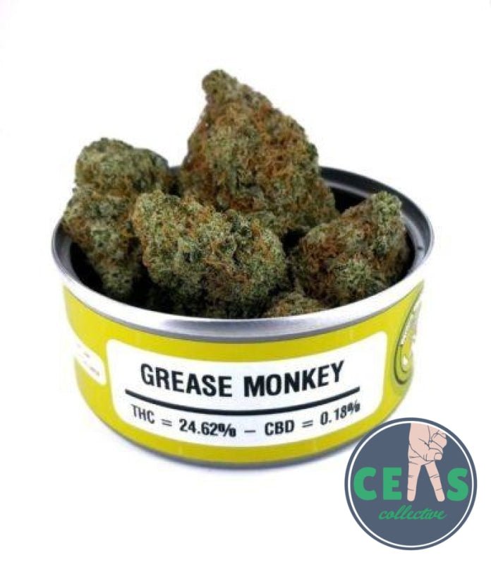 Grease Monkey 