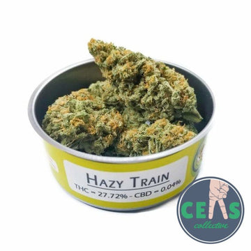 Hazy Train - Space Monkey Meds